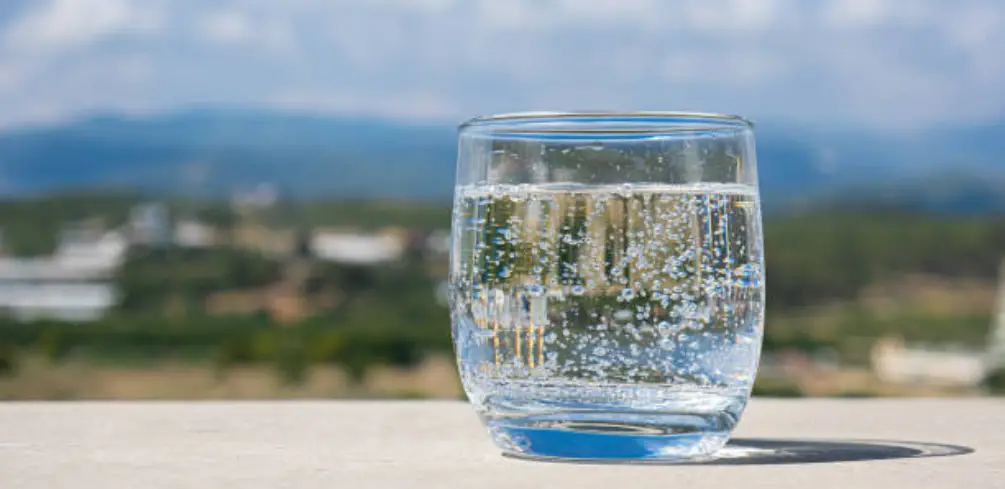 Difference Between Seltzer and Sparkling Water